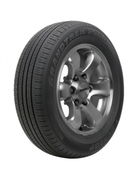 Dunlop Grandtrek PT30 225/60 R18 100H  