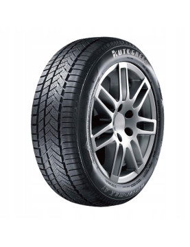 Autogreen Winter-MAX 205/55 R16 91H  не шип