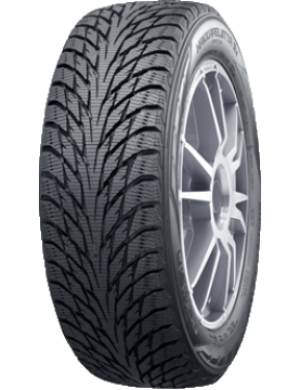 Nokian Hakkapeliitta R2 285/30 R20 99R  не шип