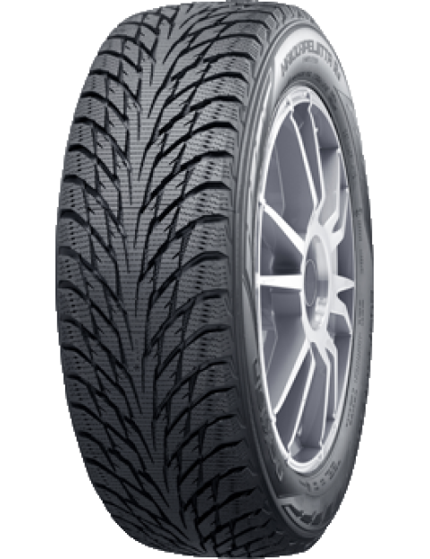 Nokian Hakkapeliitta R2 285/30 R20 99R  не шип