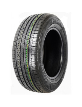 Farroad FRD66 255/50 R19 103V  