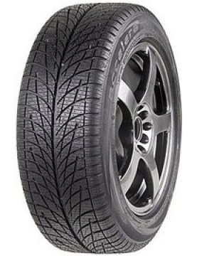 Accelera Snow 205/55 R16 91H  не шип