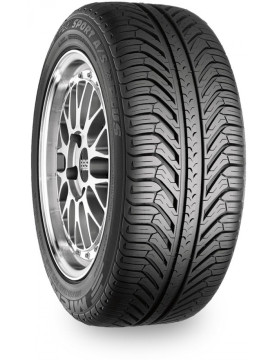 Michelin Pilot Sport A/S Plus 295/35 R20 105V  