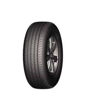 Compasal Grandeco 205/55 R16 91V  
