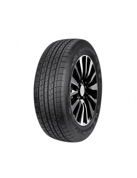 Doublestar DS01 225/60 R17 99T  
