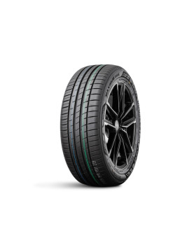 Doublestar Maximum DH08 195/60 R15 88V  