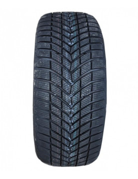 Infinity Ecozen 225/50 R17 98V  не шип