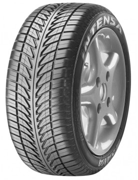 Sava Intensa SUV 205/55 R16 91W